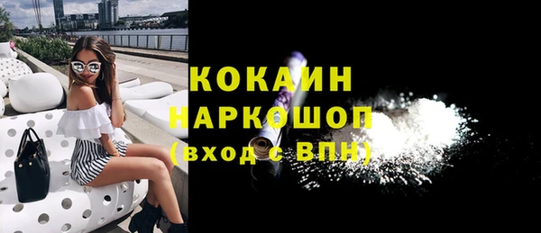 сатива Костерёво