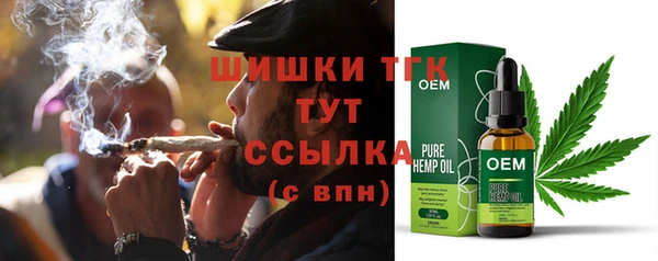 сатива Костерёво