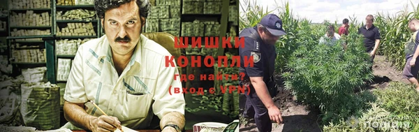 крисы Краснотурьинск