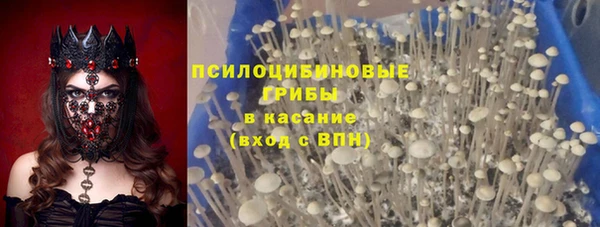 сатива Костерёво